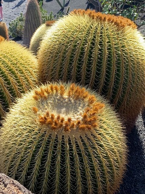 Voyage à Lanzarote aux Canaries